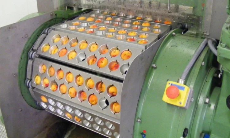 Машина для удаления косточек из вишни, сливы, абрикоса 1000 – 2000 кг/час - фото № 4