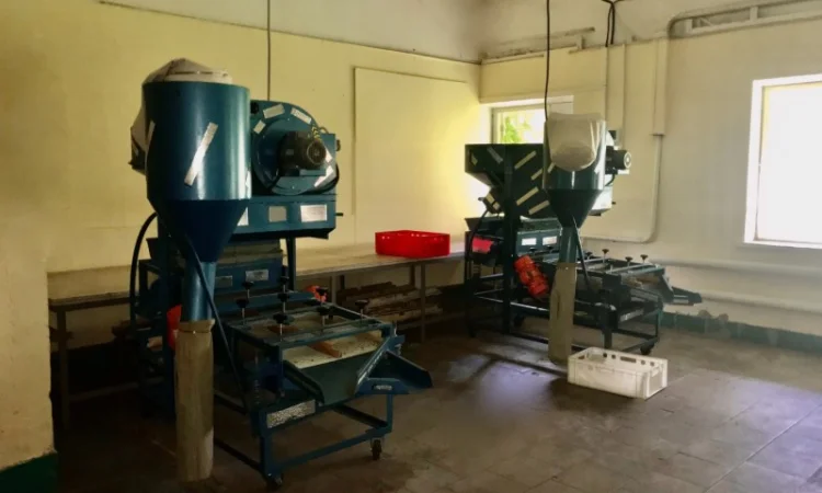 Вибросито с аспирацией для сортировки грецкого ореха (500 кг/ч) - фото № 4