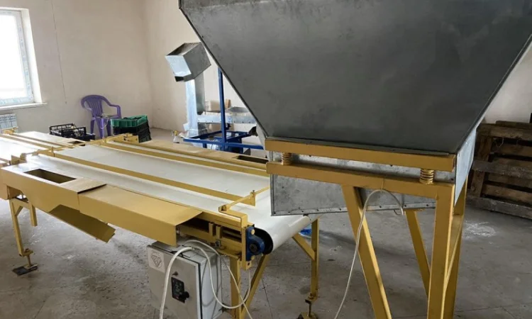 Продаём сортировачную ленту - фото № 2