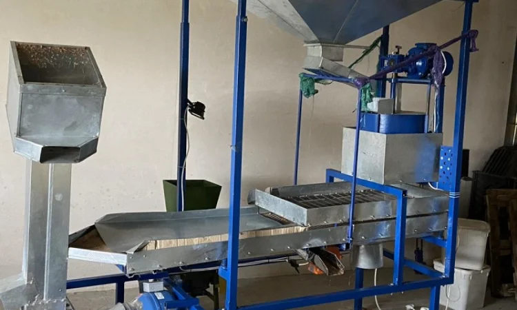 Продаём ленту для переработки для грецкого ореха - фото № 1