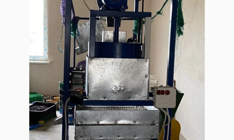 Продаём ленту для переработки для грецкого ореха - фото № 4