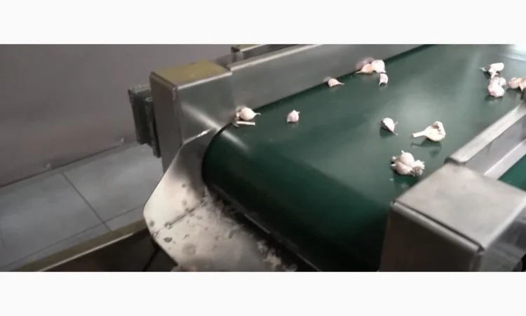 Лущення часнику, чистка часнику, дробління часнику, розділення часнику - фото № 1