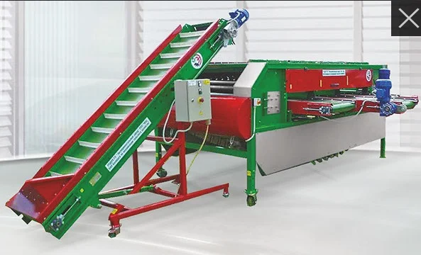 Стіл переборочний роликовий СПР-10 (можливий лізинг) - фото № 5