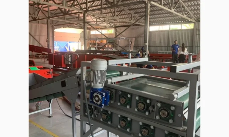 Машинка для дробления чеснока - фото № 2