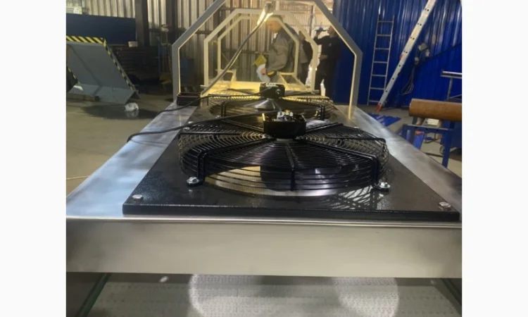 Конвейер для сортировки ягод - фото № 2