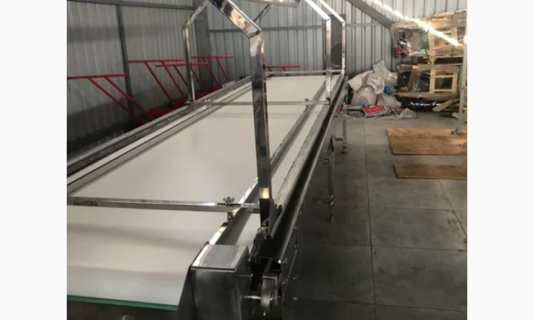 Конвейер для сортировки ягод - фото № 3