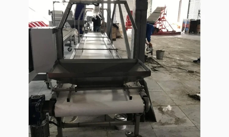 Инспекционный стол для сортировки ягод - фото № 2