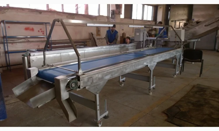 Конвейер инспекционный для переборки орехов - фото № 1