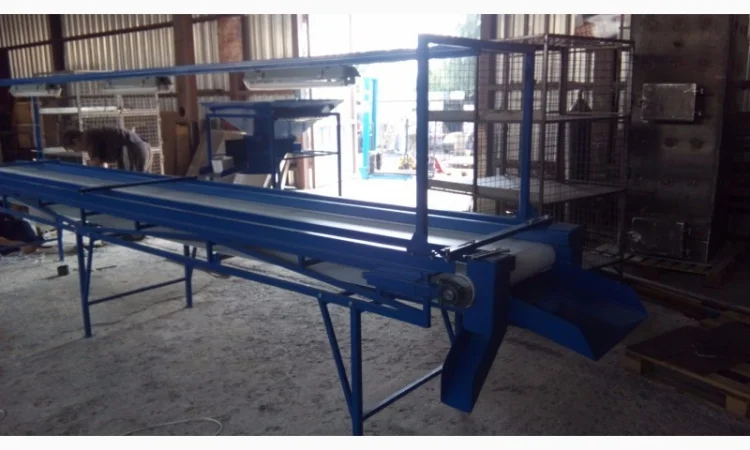 Конвейер инспекционный для переборки орехов - фото № 3