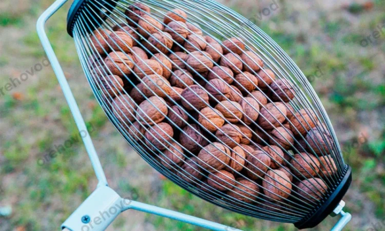 Рол-горіхозбірник для збору волоського горіха - фото № 3