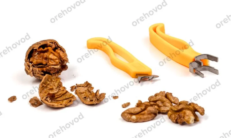 Набір для розбору волоського горіха - фото № 1