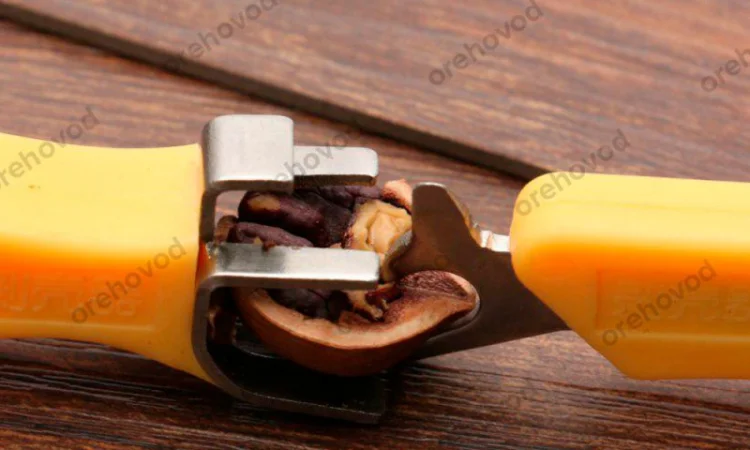 Набір для розбору волоського горіха - фото № 4