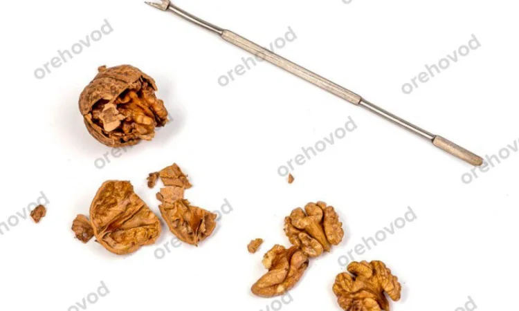 Інструмент для вилучення ядра горіха - фото № 3