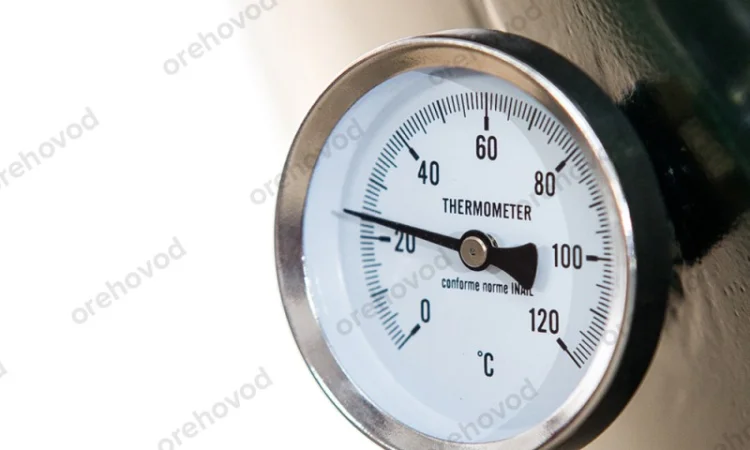 Сушарка для волоського горіха і фундука в шкаралупі - фото № 3