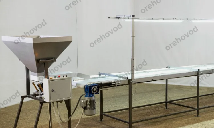 Інспекційний стіл для сортування волоського горіха - фото № 2