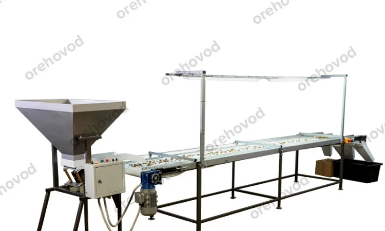Інспекційний стіл для сортування волоського горіха - фото № 4