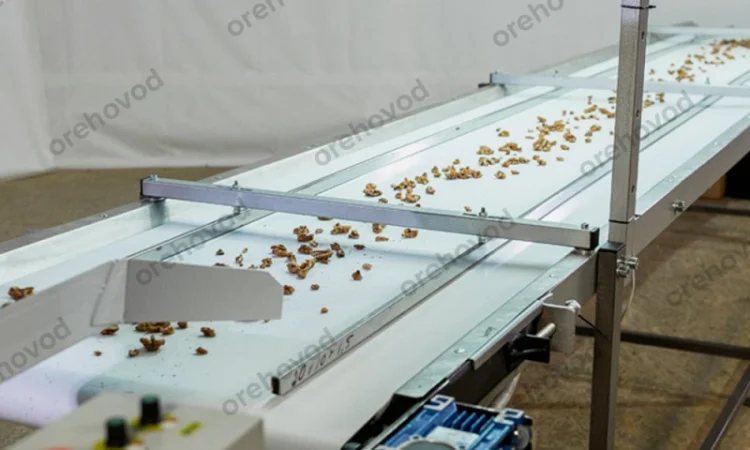 Інспекційний стіл для сортування волоського горіха - фото № 5