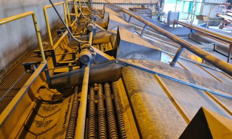 Прийомна лінія для картоплі та цибулі - фото № 4