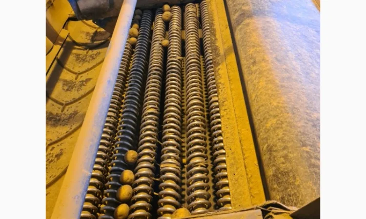 Прийомна лінія для картоплі та цибулі - фото № 3