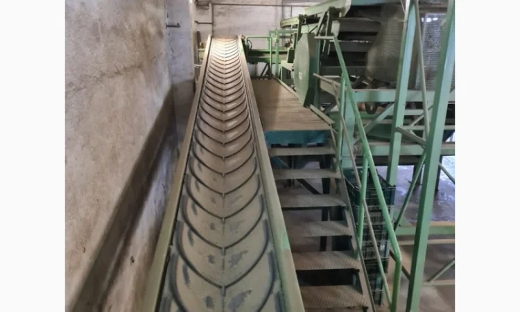 Прийомна лінія для картоплі та цибулі - фото № 18