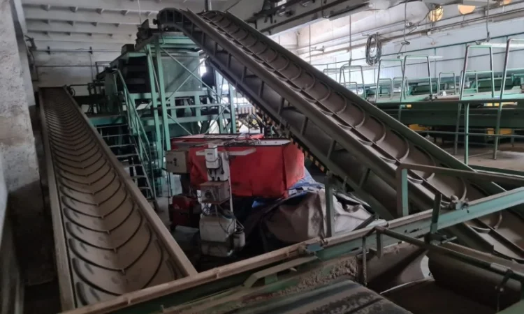 Прийомна лінія для картоплі та цибулі - фото № 13