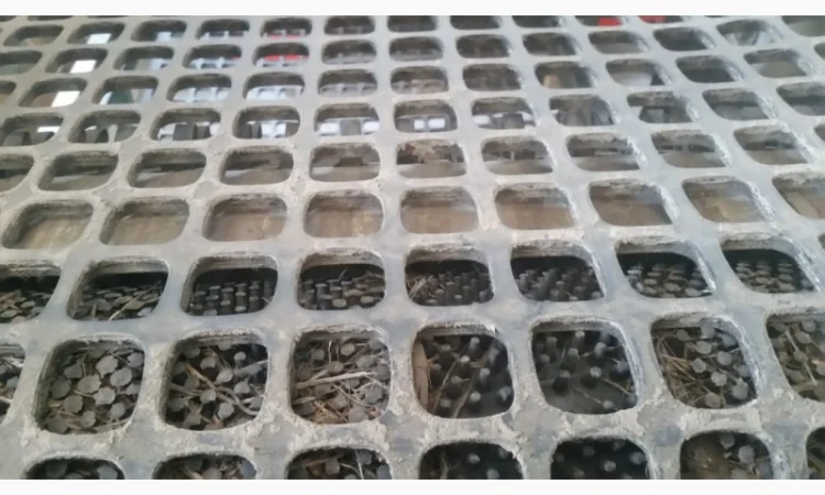 Машина сортувальна Miedema WSU 90 - фото № 5