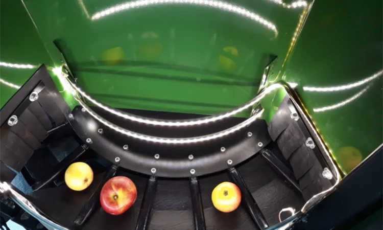 Компактная сортировочная линия для яблок с камерой - фото № 4