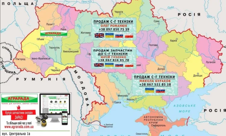 Компактная сортировочная линия для яблок с камерой - фото № 2