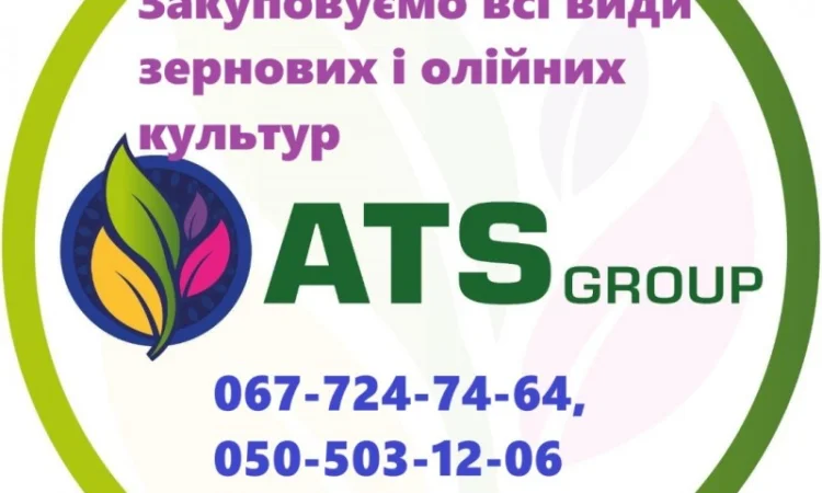 Сорго червоне дорого - фото № 3