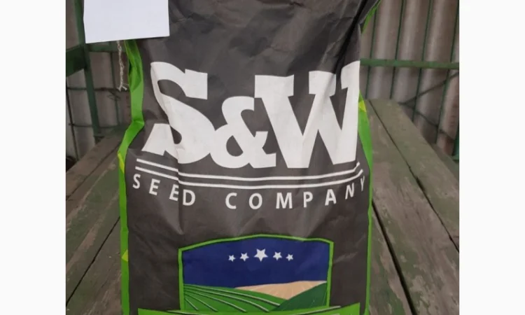 Зернове сорго Зуні на продаж - фото № 1