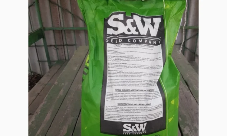 Зернове сорго Зуні, 65-80 днів - фото № 2