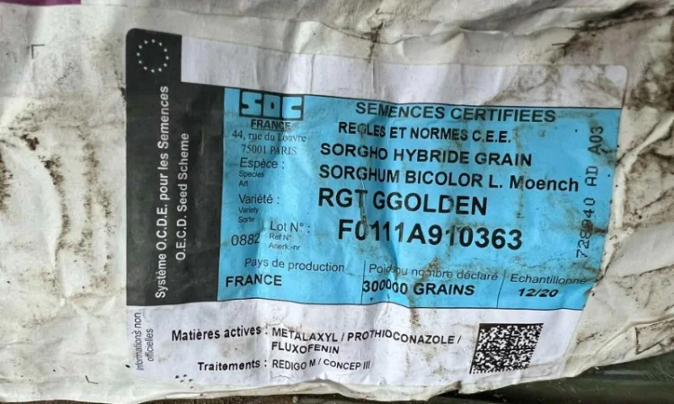 Сорго зернове - РЖТ Гголден - фото № 2