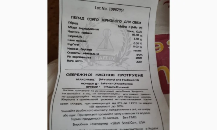 Сорго Ютамі ( Yutami) - гібрид зернового сорго - фото № 2