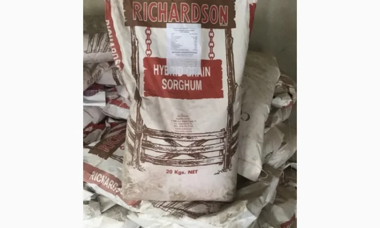 Терміново Насіння Сорго Хопі В 1500грн П.О - фото № 1