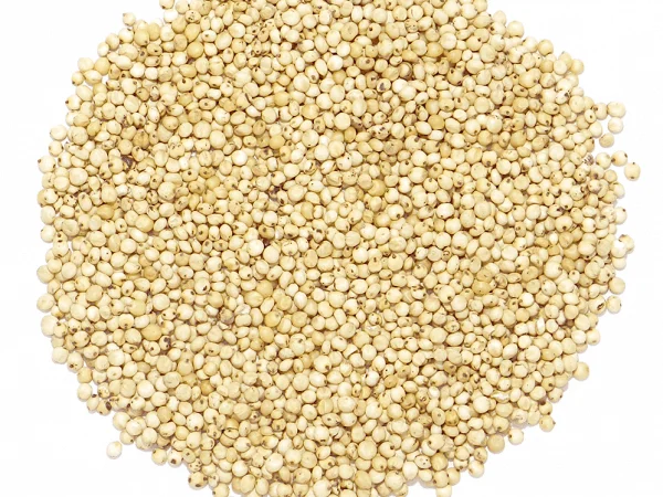 Закупаем белое и красное сорго - фото № 1