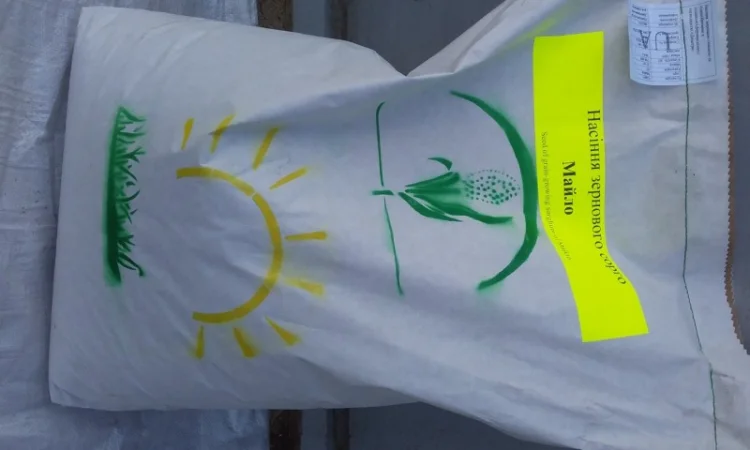 Продам насіння сорго " майло" "зуні" - фото № 3