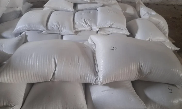 Продам конореечное просо корм для попугаев и конореек - фото № 3