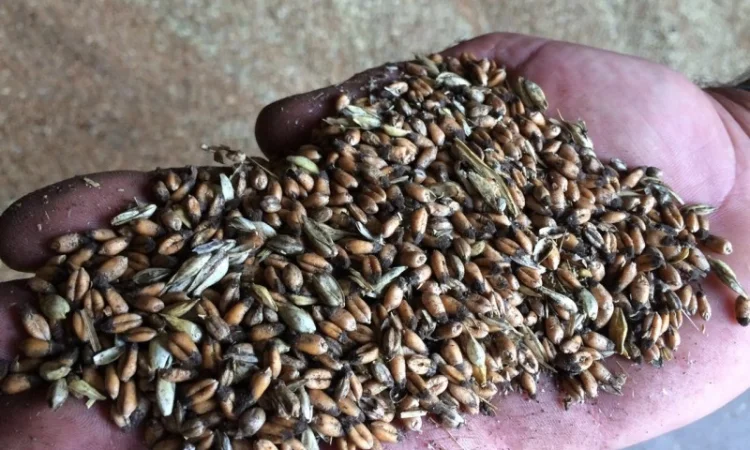 Куплю некондицію - фото № 1