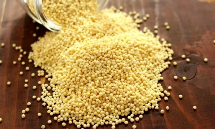 Організація закупляе зернові, відходи зернових, крупи та іншу продукцію - фото № 6