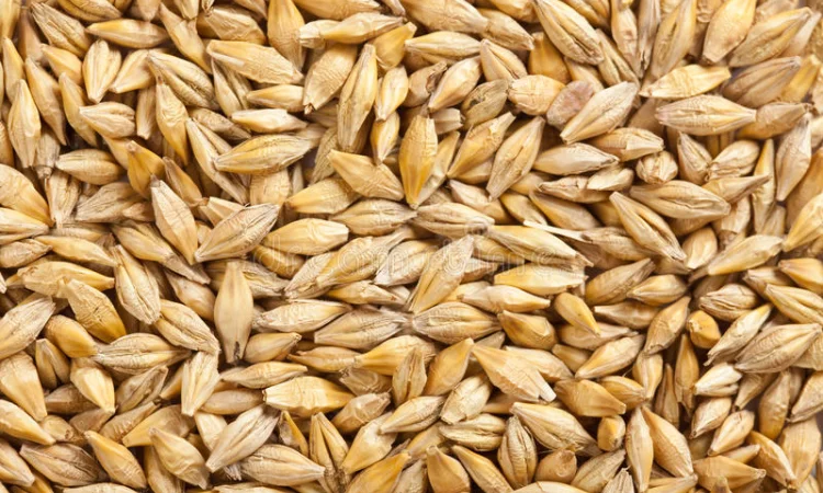 Есть покупатели пшеницы и кукурузы с эливаторов и хозяйств с всей Украины 1 000 тонн - фото № 3