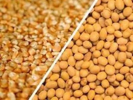 Приймаємо половинки сої, відходи кукурудзи - фото № 1