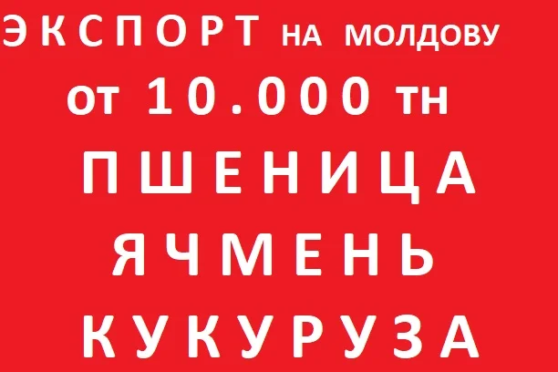 ЗЕРНОВЫЕ на Молдову = Пшеница = Ячмень - фото № 1