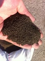 Насіння люцерни магнічена - фото № 2