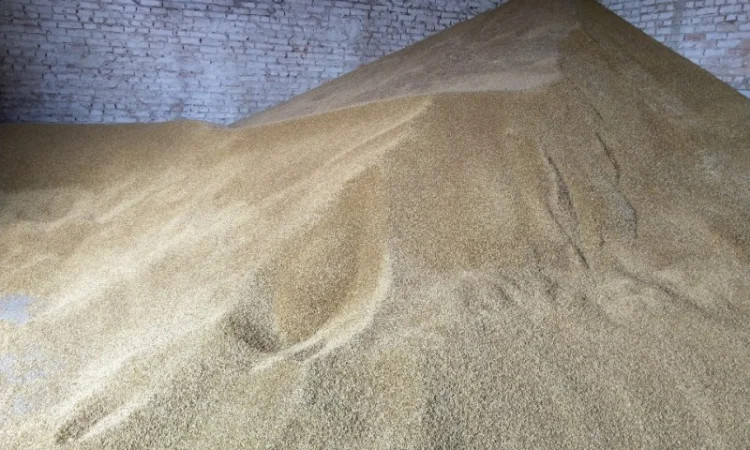 Куплю зерно - фото № 1