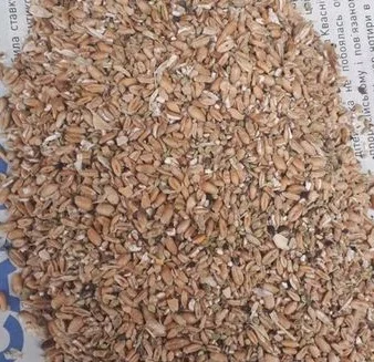 Купую цілий рік зернові відходи, олійні відходи, бобові відходи - фото № 1