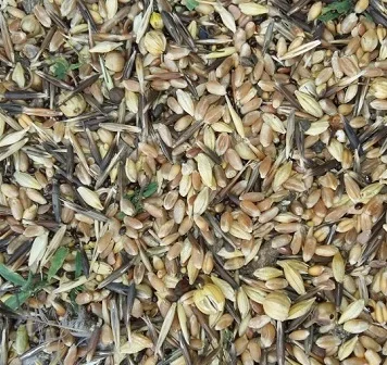 Зерновідходи - фото № 1