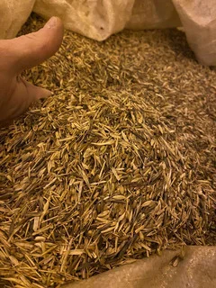 Купуємо зерновідходи. Куплю відходи с.г. культур - фото № 1