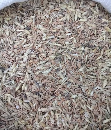 Купуємо відходи - фото № 1