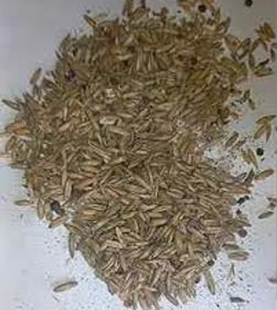 Некондиция, отходы зерновых, бобовых, масличных. Куплю - фото № 1