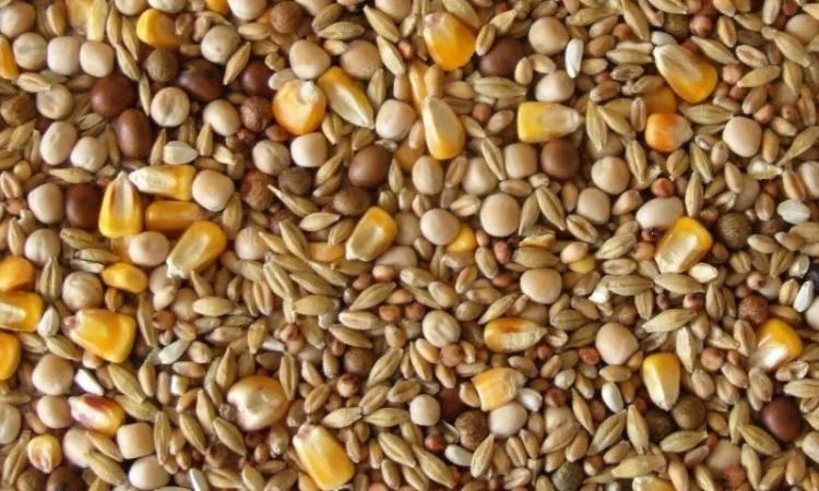 Куплю отходы кукурузы, подсолнечника, сои, пшеницы, ячменя, проса - фото № 1